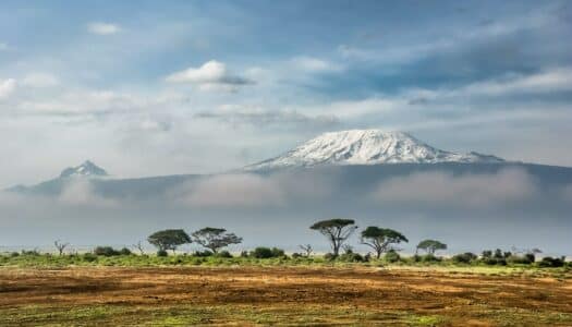 Seguro viagem Quênia: Tudo que você precisa saber