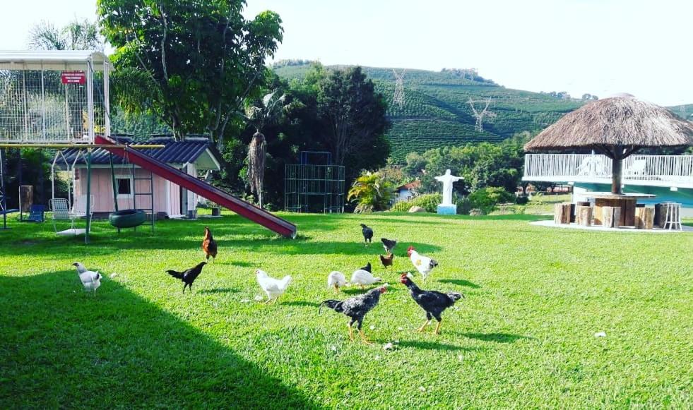 Gramado extenso da Pousada Primavera da Serra com parquinho e algumas galinhas pelo local, para representar pousadas em Serra Negra