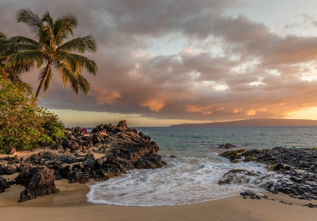 Mar com pedras e palmeiras ao redor para ilustrar o post de chip de celular para o Havaí. - Foto: Christian Joudrey via Unsplash
