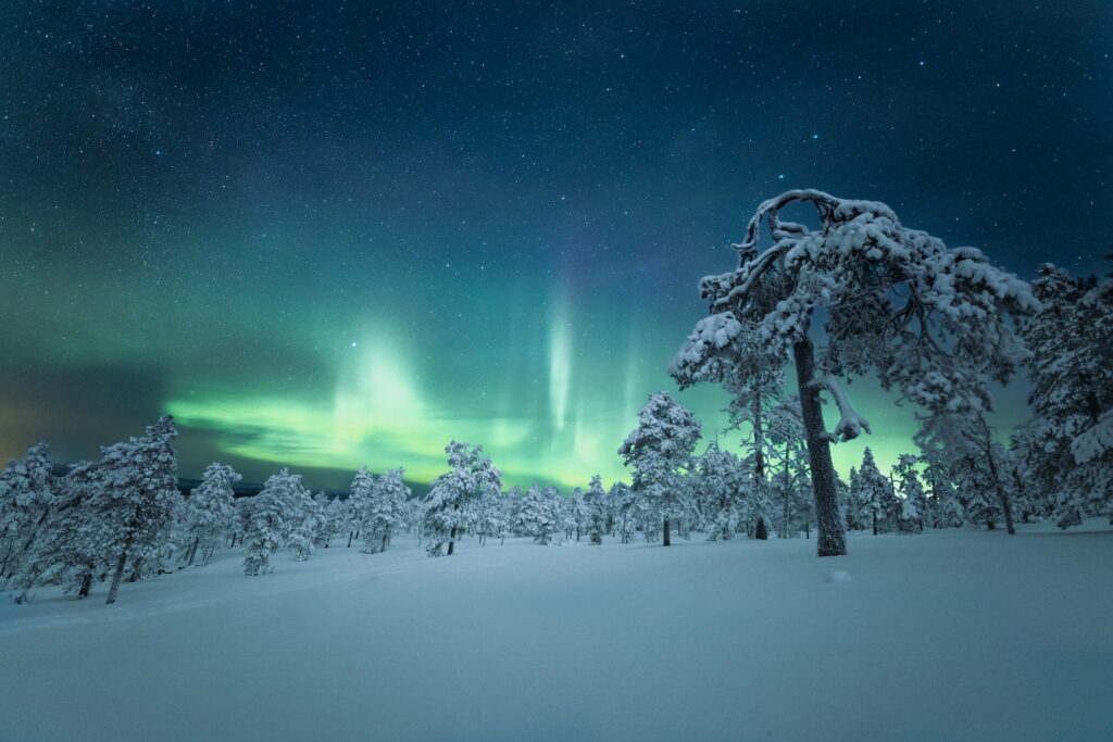 Floresta congelada e com neve no chão embaixo de um céu estrelado e com aurora boreal esverdeada para ilustrar o post de chip de celular para Finlândia.- Foto: Maria Vojtovicova via Unsplash