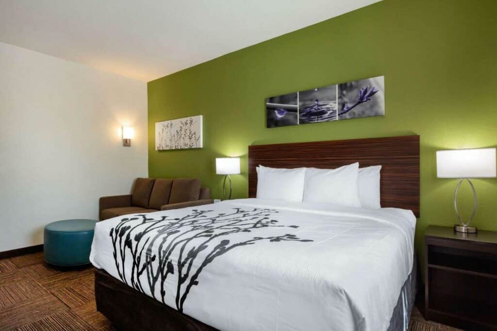 Quarto no Sleep Inn & Suites Tampa South com uma cama de casal, um sofá, duas mesinhas de cabeceira com abajures, uma parede em tom de verde musgo e alguns quadros na parede