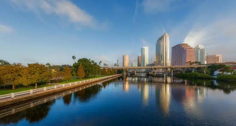 Um grande lago com prédios ao fundo e, na lateral esquerda, algumas árvores, para representar Tampa