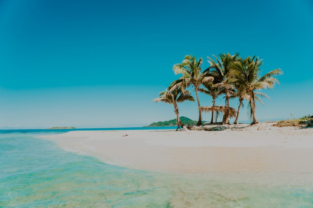 praia paradisíaca com areias claras e mar cristalino azul com algumas palmeiras e céu muito azul em Cayos Cochinos, para ilustrar o post de chip celular Honduras