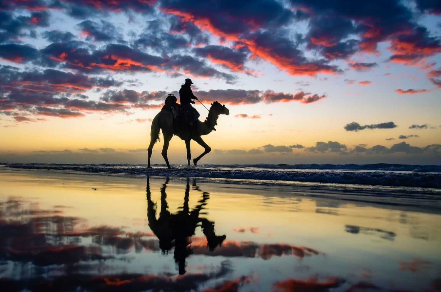 Pessoa andando de camelo em uma praia ao pôr do sol. O céu é azul com nuvens rosadas, e a água do mar reflete a imagem do camelo e do céu para ilustrar o post seguro viagem Palestina. - Foto: Brahim Fathi via Pexels