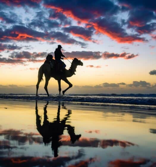 Pessoa andando de camelo em uma praia ao pôr do sol. O céu é azul com nuvens rosadas, e a água do mar reflete a imagem do camelo e do céu para ilustrar o post seguro viagem Palestina. - Foto: Brahim Fathi via Pexels