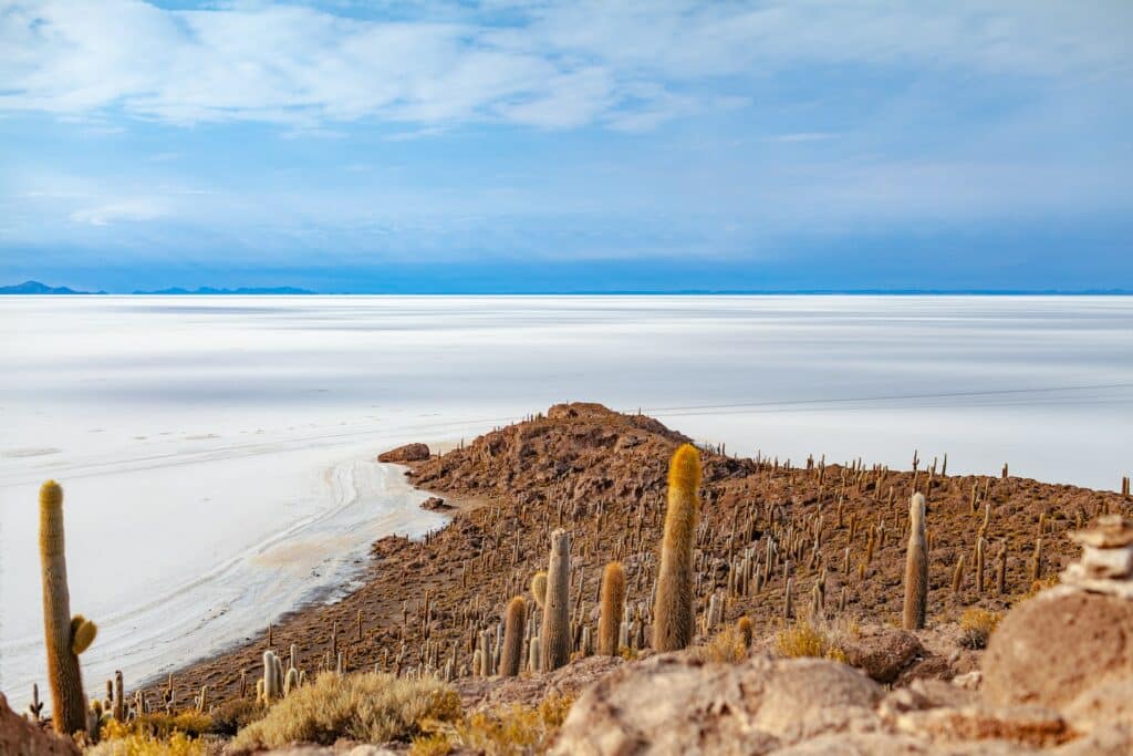 O deserto de sal da Bolívia inteiro branco e com algumas montanhas com cactos ao redor