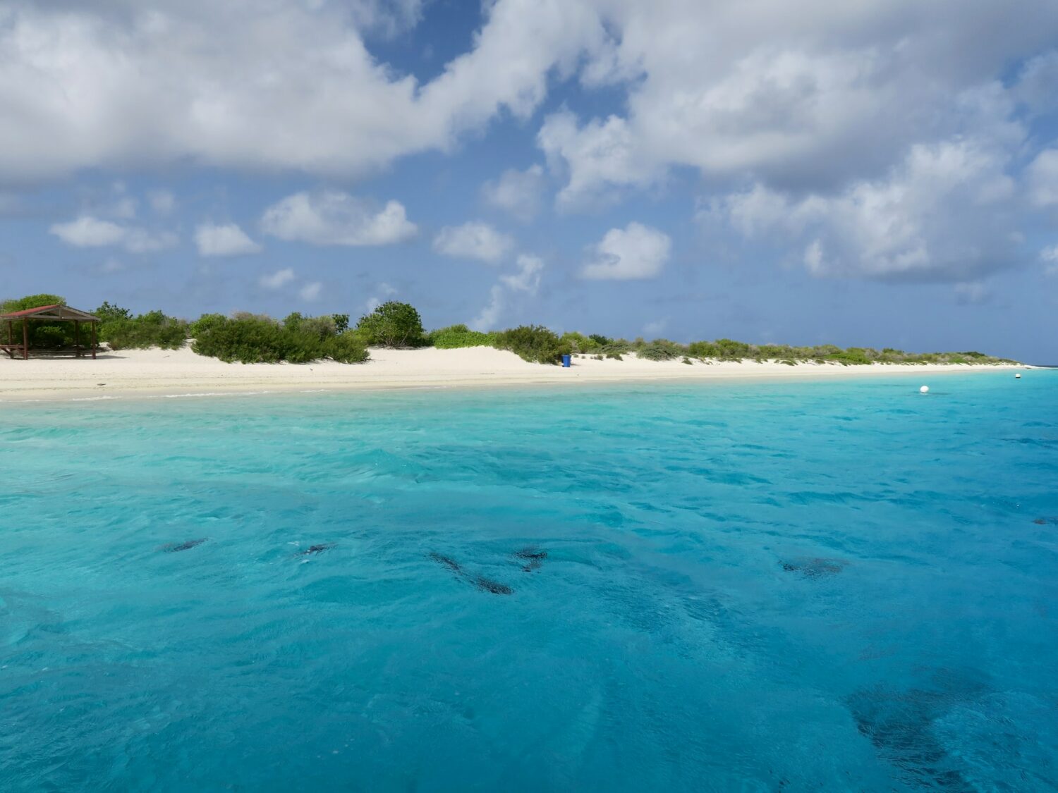 águas muito azuis claras com areia branca e céu azul com nuvens em Klein Bonaire, para ilustrar o post de chip celular Bonaire