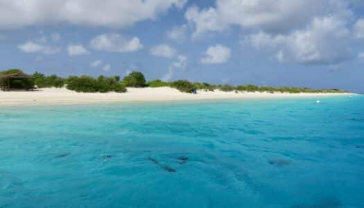 Chip celular Bonaire: Viaje à ilha com internet ilimitada