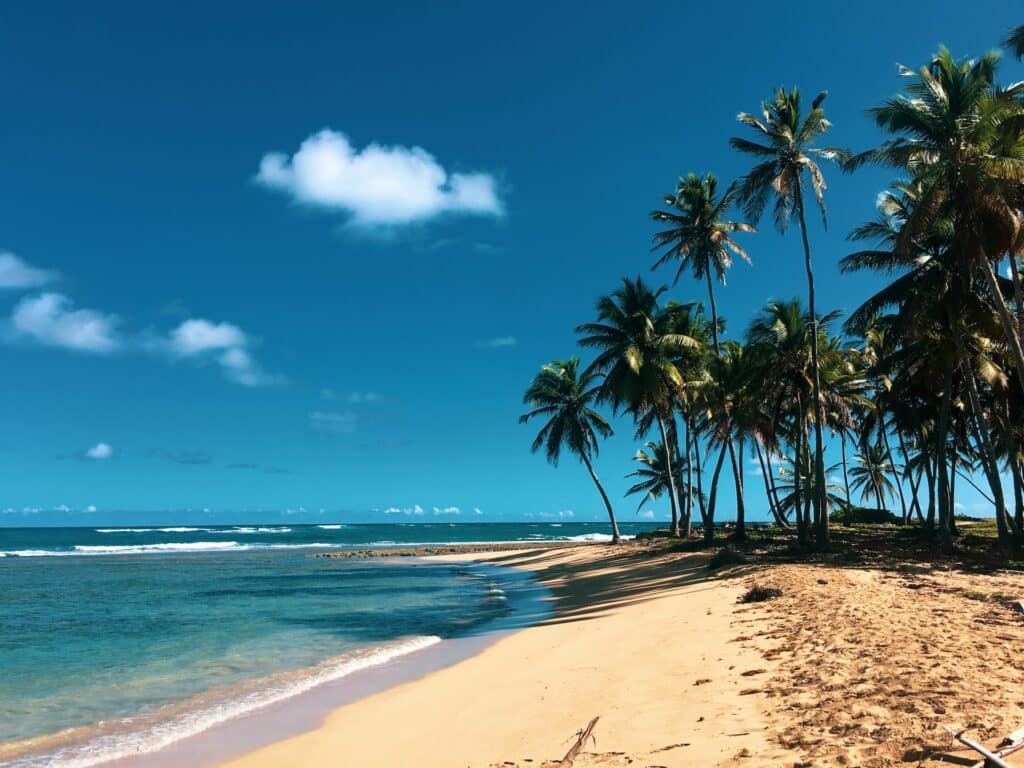 praia no bairro de Las Terrenas, ilustrando o post de chip celular República Dominicana, com areia bem amarelinha, águas azuis e muitas palmeiras na orla, com céu muito azul e poucas nuvens