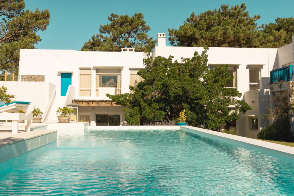 Vista da piscina do Kalá Hotel Boutique com árvore a frente e céu azul. Representa hotéis em Punta Del Este.