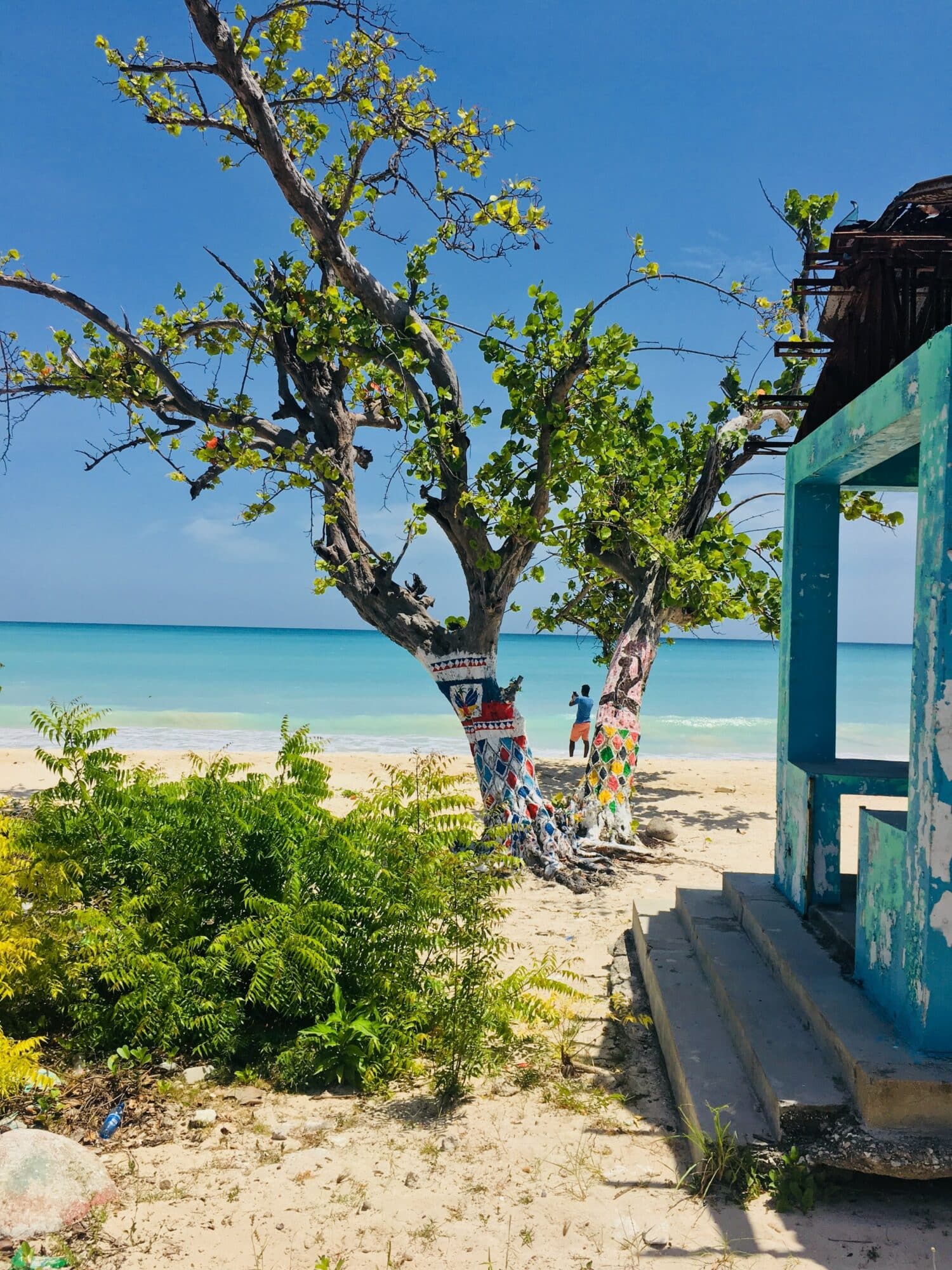 vista de uma casinha azul com varanda de um lado da imagem e ao centro, uma árvore bem verdinha em que, no meio, é visto um homem segurando um celular, tirando uma foto do mar límpido à frente, em Port Salut no Haiti, para ilustrar o post de chip celular Caribe