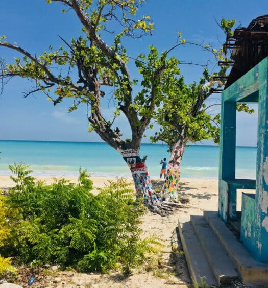 vista de uma casinha azul com varanda de um lado da imagem e ao centro, uma árvore bem verdinha em que, no meio, é visto um homem segurando um celular, tirando uma foto do mar límpido à frente, em Port Salut no Haiti, para ilustrar o post de chip celular Caribe