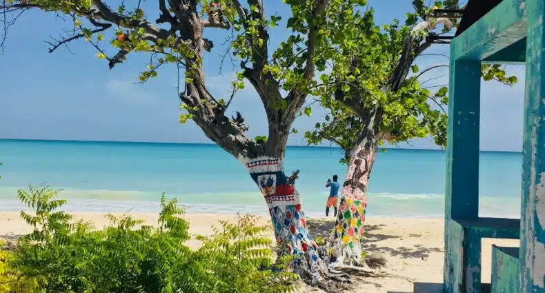 vista de uma casinha azul com varanda de um lado da imagem e ao centro, uma árvore bem verdinha em que, no meio, é visto um homem segurando um celular, tirando uma foto do mar límpido à frente, em Port Salut no Haiti, para ilustrar o post de chip celular Caribe