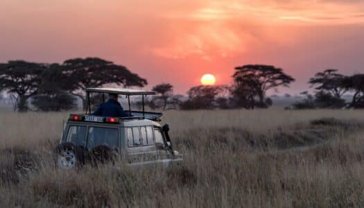 Seguro viagem Tanzânia – Veja as vantagens de contratar
