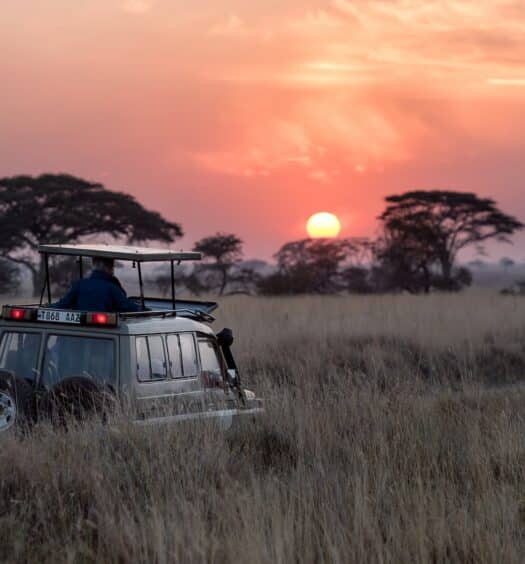 Homem andando em um carro cinza durante o pôr do sol com árvores ao fundo, ilustrando post seguro viagem Tanzânia.