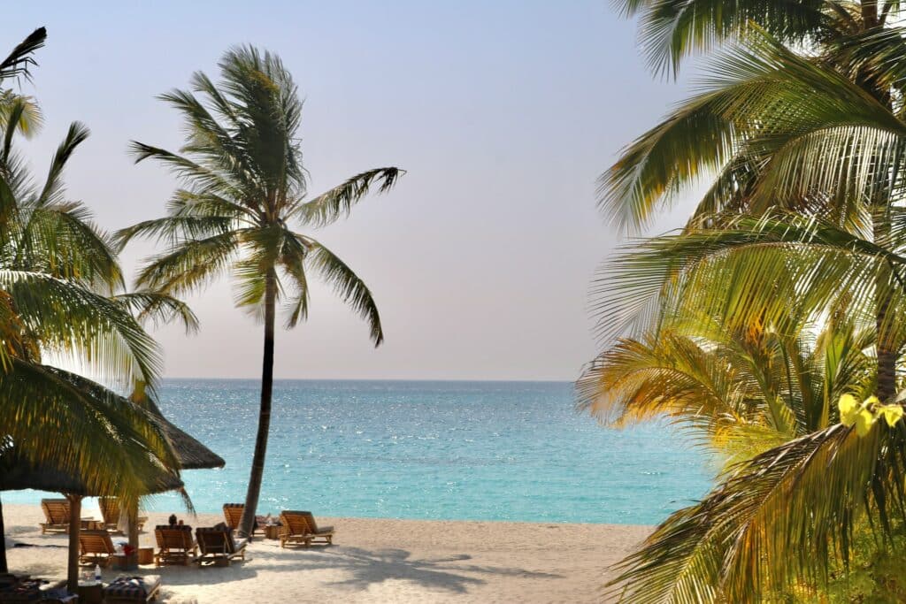 Praia com água azul e faixa de areia marrom com cadeiras e palmeiras, durante o dia.