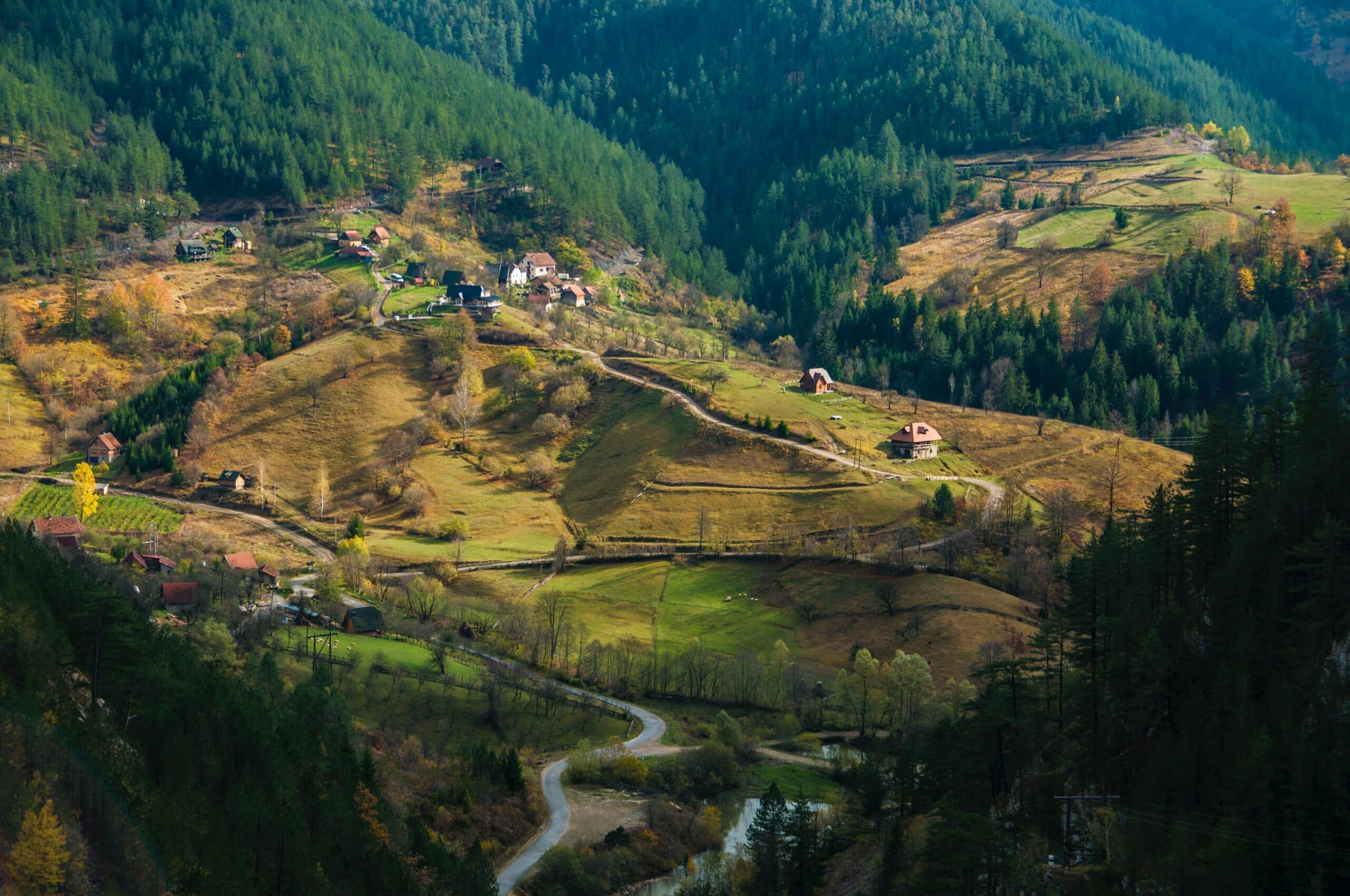 Vista área de Zaovine, Sérvia com casas em meio a montanhas e árvores.