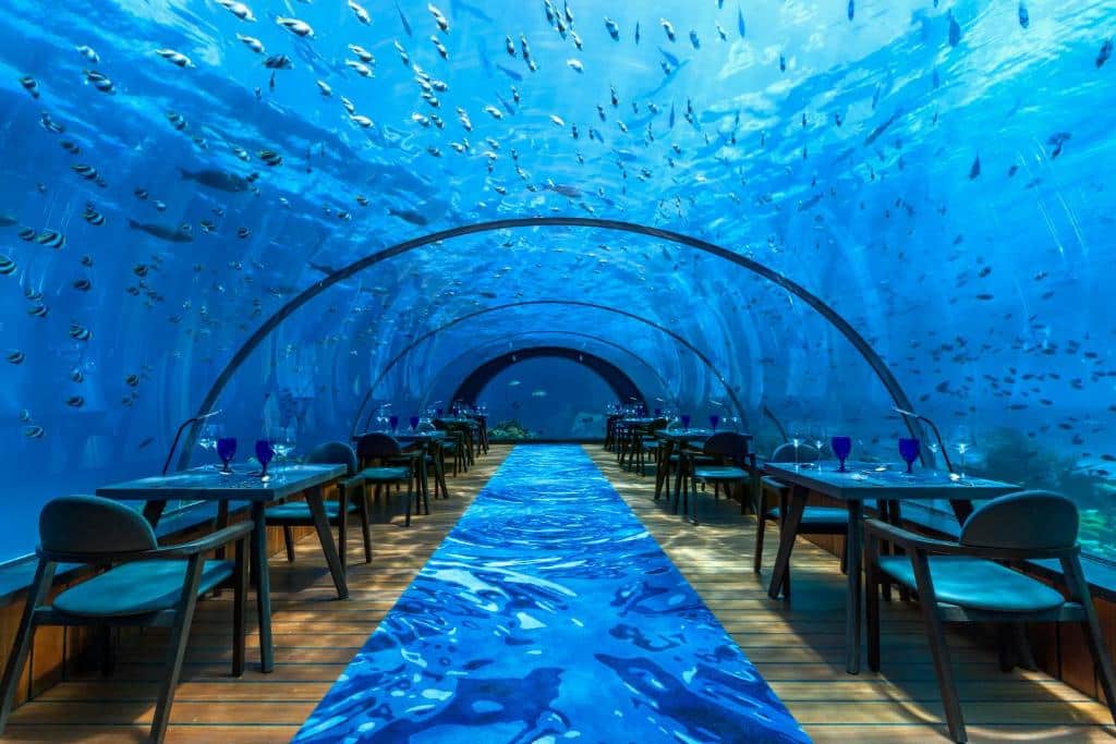 Restaurante subaquático do Hurawalhi Island Resort, com teto e paredes de vidro mostrando os peixes e o fundo do mar. No meio do local tem um tapete azul e nos cantos há mesas com duas cadeiras, taças e copos em cima. Imagem para ilustrar o post de hotéis nas Maldivas