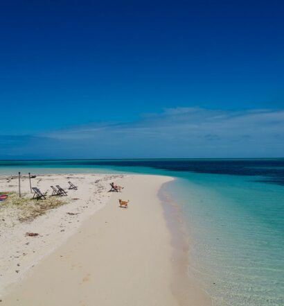 Ilha Leleuvia, com areia branca e águas esverdeadas transparantes, céu muito azul com poucas nuvens, há algumas cadeiras na praia e um cachorro caramelo, uma pessoa está sentada mexendo no celular, para ilustrar o post de chip celular Fiji
