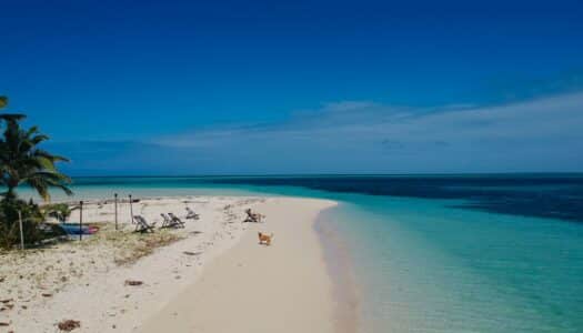 Chip celular Fiji: Curta as belas praias com internet