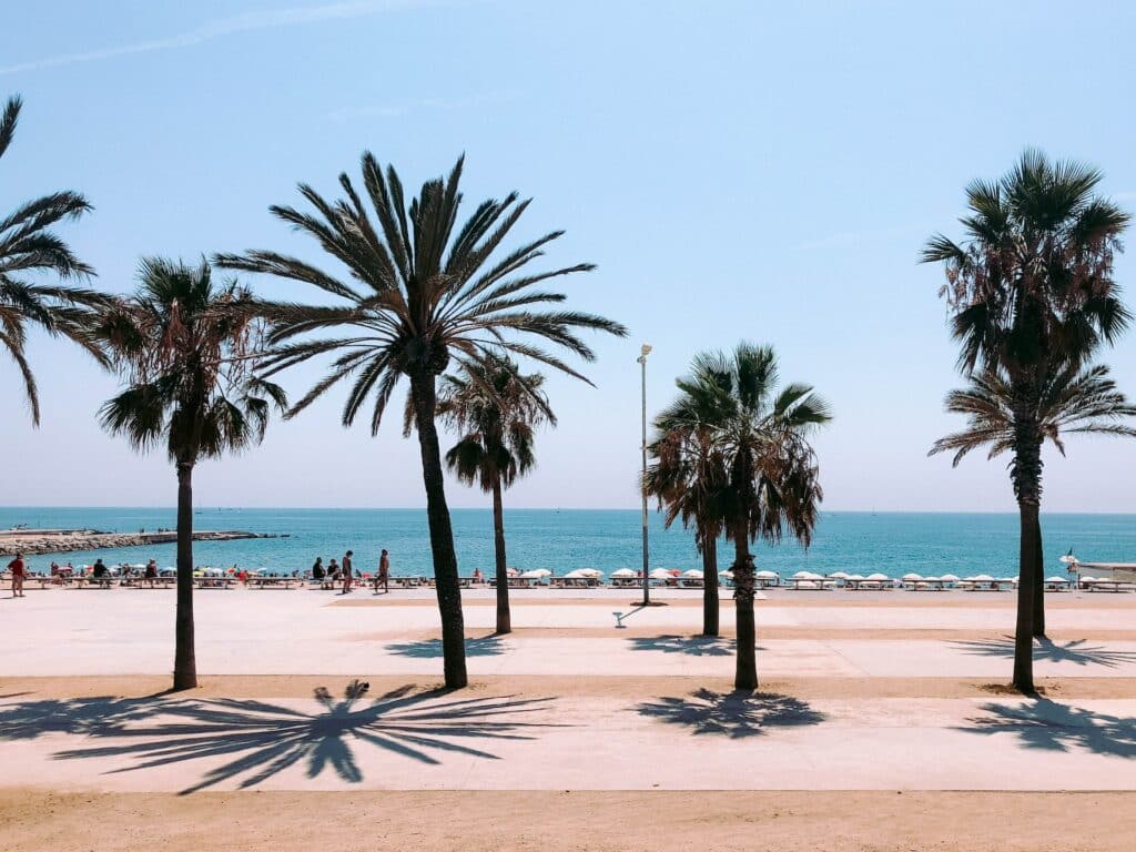 Praia em La Barceloneta com palmeiras e pessoas na faixa de areia durante o dia, ilustrando post chip celular Barcelona.