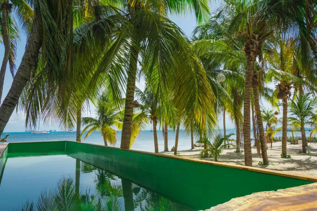 Piscina do Nomads Hotel & Beachclub de frente para o mar e cercada por coqueiros