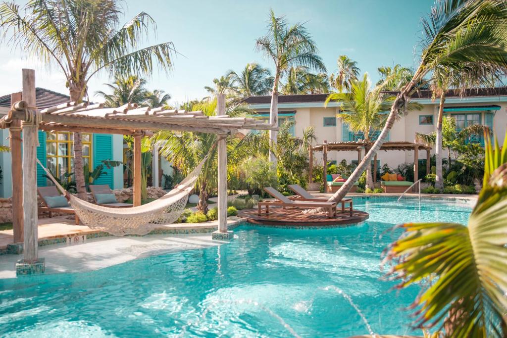 área da piscina do Boardwalk Boutique Hotel Aruba com rede para descanso na cor creme, espreguiçadeiras e vários coqueiros decorando o espaço.