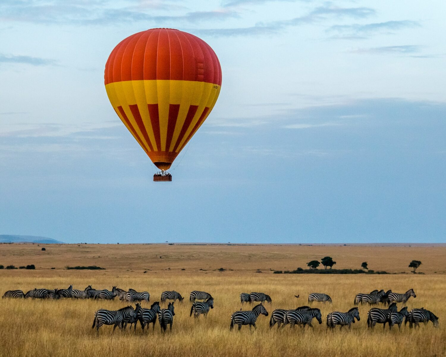 Um campo aberto em tons de terra, algumas zebras reunidas e, no céu, há um balão de ar grande em tons de amarelo e vermelho, para representar chip celular Quênia