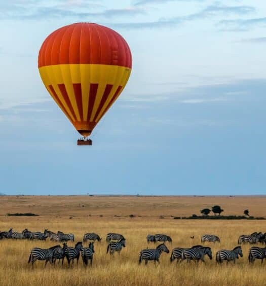 Um campo aberto em tons de terra, algumas zebras reunidas e, no céu, há um balão de ar grande em tons de amarelo e vermelho, para representar chip celular Quênia