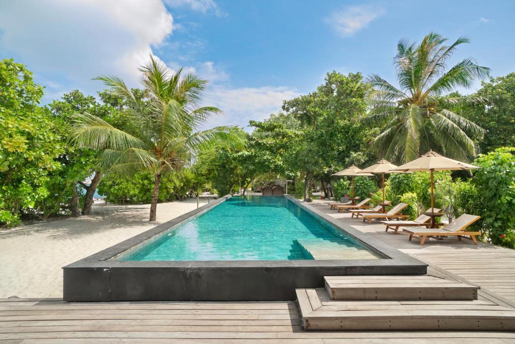 Piscina do The Barefoot Eco Hotel, em Maldivas, localizado na areia da praia, com uma parede de árvores deixando o espaço reservado. Ao lado da piscina há um deck de madeira com alguns degraus, espreguiçadeiras e guarda-sóis