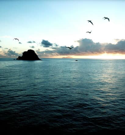 Pôr do sol na praia em St. Barth. Há uma ilhota ao loge, e pássaros voam acima. Há poucas nuvens no céu, que está azul e laranja. - Foto: Keith Robinson via Flickr