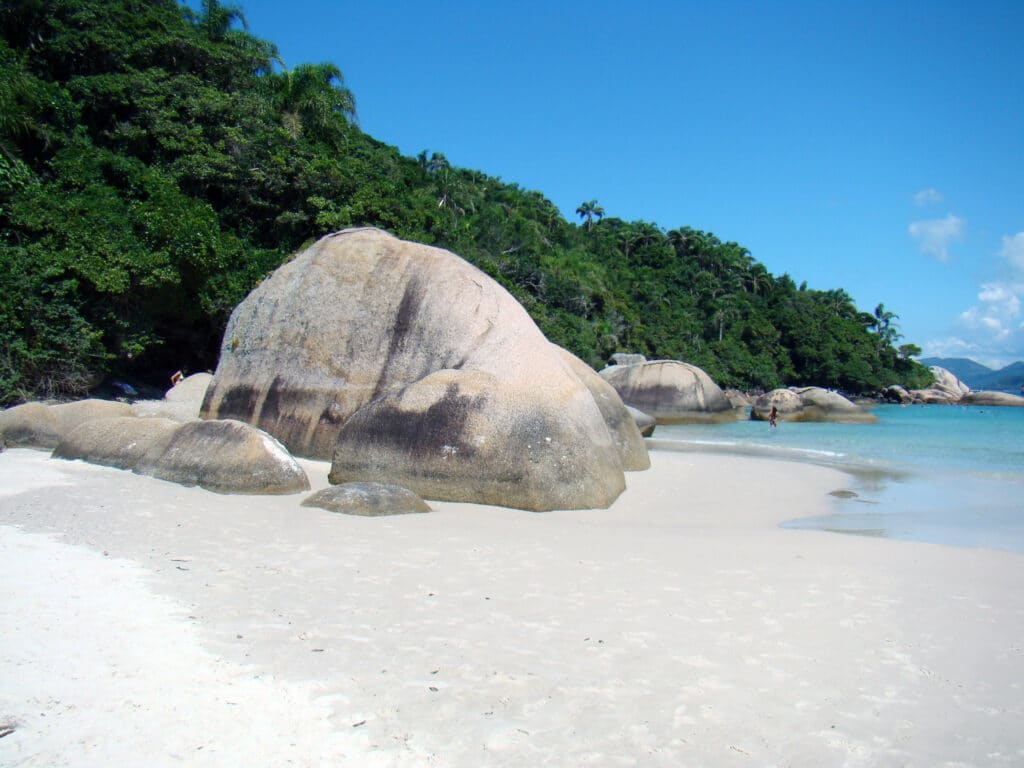 Uma enorme pedra esbranquiçada na areia também branca da Praia do Campeche com o mor azul bem claro e, do lado esquerdo, uma pequena montanha cercada pela mata