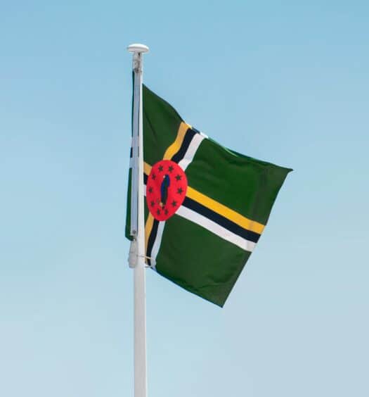 Foto da bandeira de Dominica pendurada no mastro durante o dia. - Representa chip celular Dominica.