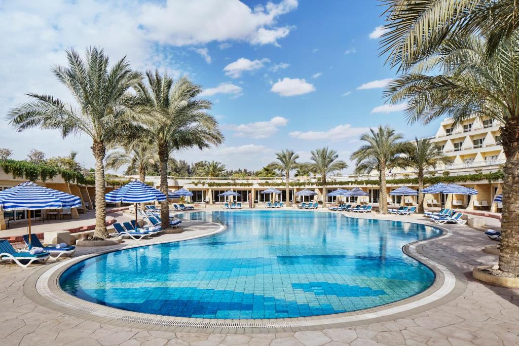 Vista da piscina do JW Marriott Hotel durante o dia com cadeiras em volta com coqueiros. Representa Hotéis no Cairo.