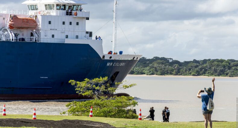 Porto com um navio azul e branco no mar, com pessoas na costa olhando e fotografando, na Guiana Francesa. Há também um gramado com uma árvore na costa do mar e montanhas ao fundo.
