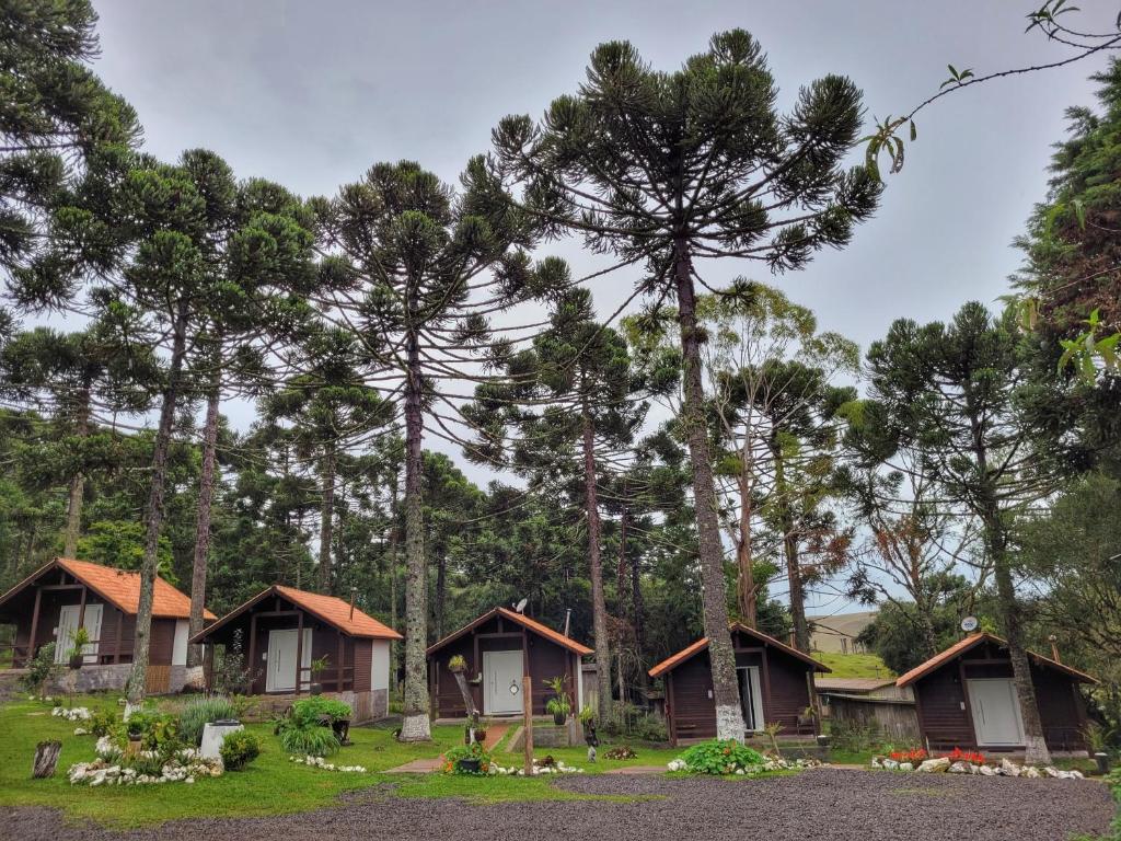 vista de cinco chalés de madeira com portas brancas enfileirados lado a lado e rodeados por grandes árvores araucárias na Pousada Cardoso em Cambará do Sul