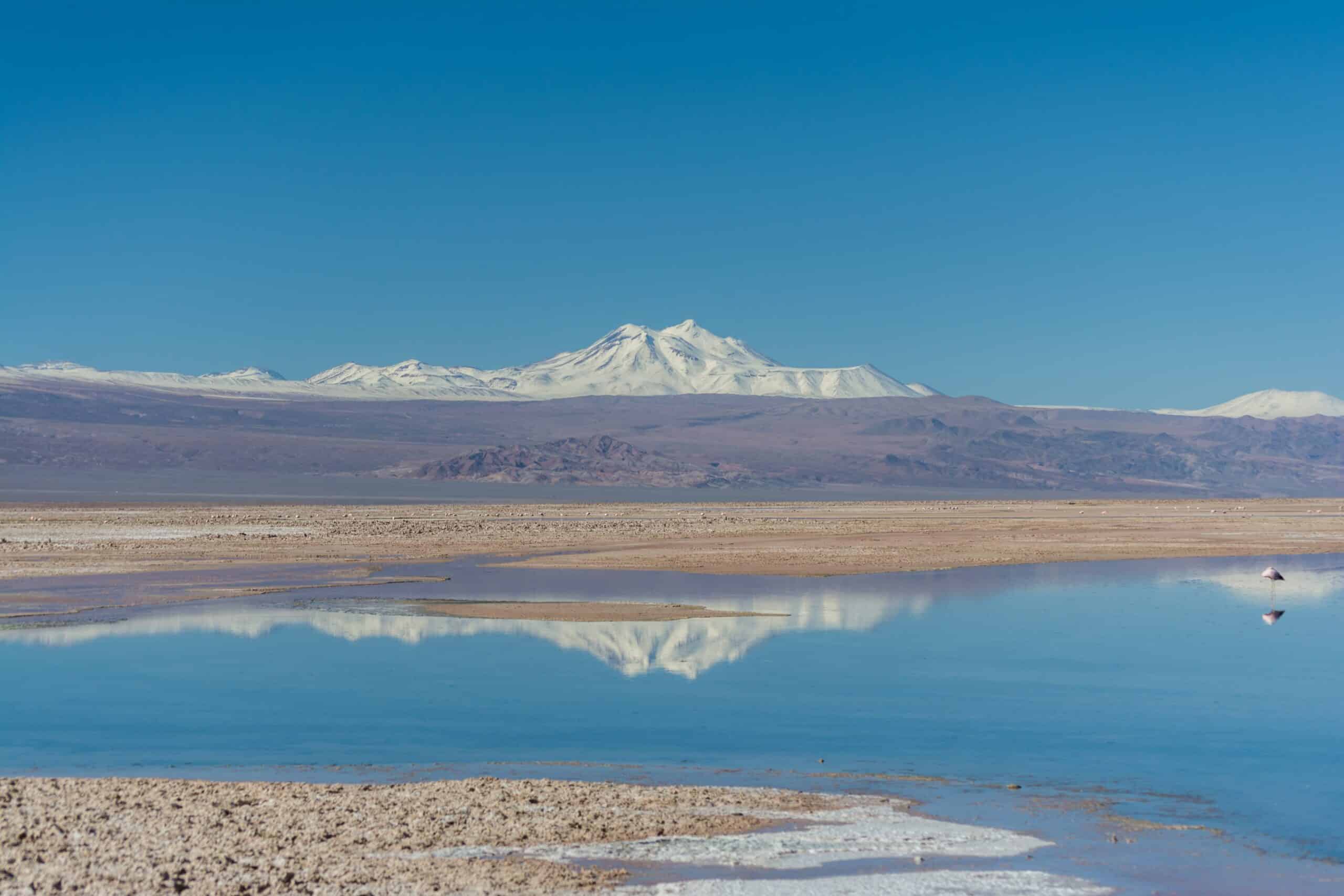 Vista do Salar de Atacama, Chile, durante o dia com montanhas ao fundo coberta de neve e lago à frente. Representa chip celular Atacama.