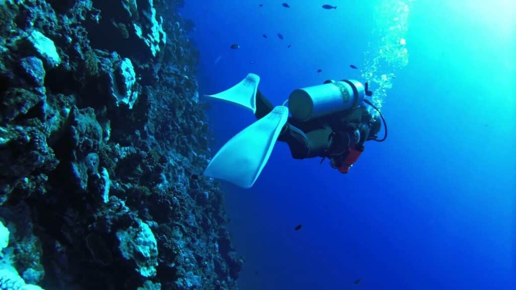 Pessoa mergulhando perto de corais para ilustrar o post sobre chip de celular para a Polinésia Francesa. A pessoa usa pés de pato e um tanque de oxigênio, e há algund peixes na sua frente. - Foto: Adam Reeder via Flickr
