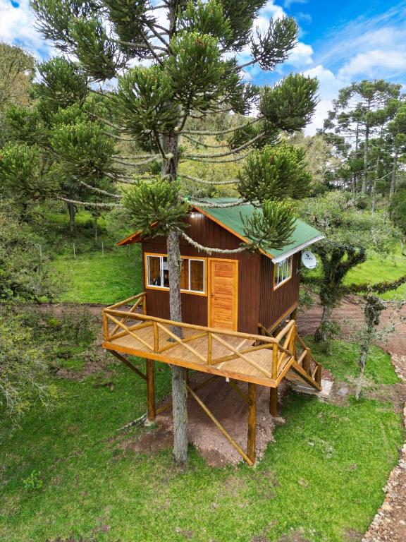 uma casa da árvore das Cabanas Imbuia  construída sob uma plataforma de madeira e ao redor de uma araucária. Há uma varanda de madeira e uma escada na lateral direita do chalé. O teto é verde e a porta é de madeira.