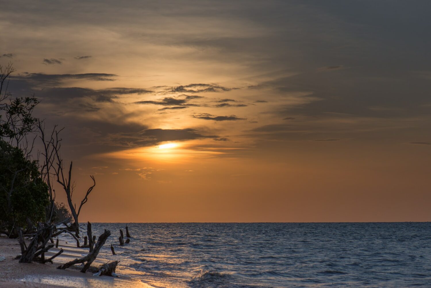 Imagem do mar e troncos na areia durante o pôr do sol no Suriname