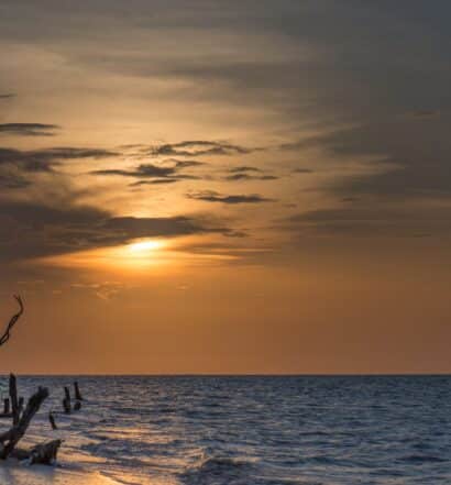 Imagem do mar e troncos na areia durante o pôr do sol no Suriname