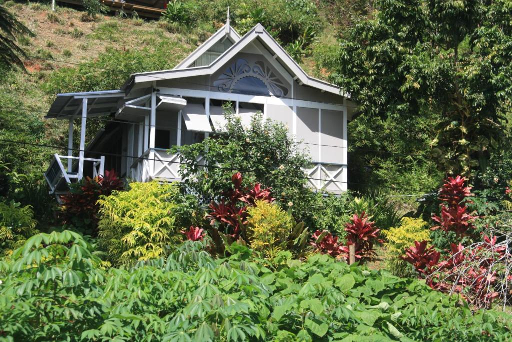 Vista da frente da casa de Gingerbread Cottage and Studio Fiji, durante o dia com um belo jardim em volta da casa. Representa hotéis em Fiji.