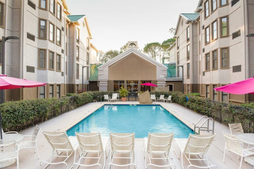 Piscina do Hampton Inn & Suites Tampa-North com algumas espreguiçadeiras brancas ao redor e alguns arbustos