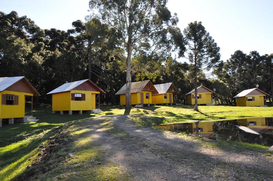chalés em Cambará do Sul na Hospedagem Encanto da Serra Rural. Há seis chalés amarelos dispostos num campo aberto com várias araucárias ao redor.