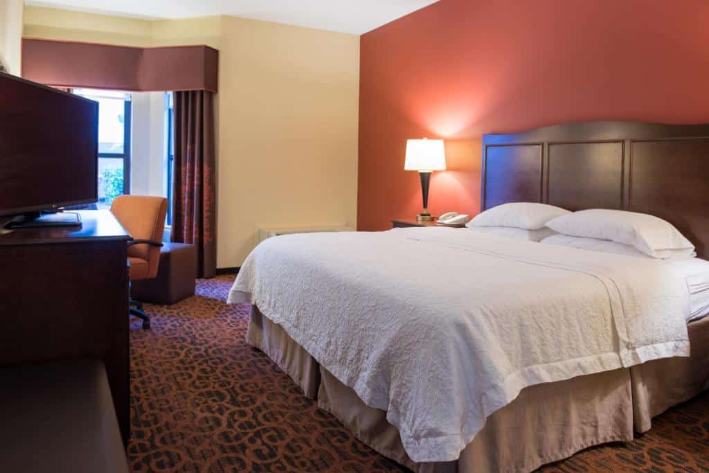 Quarto do Hampton Inn & Suites Tampa-North com uma cama de casal, um móvel com uma televisão em cima, uma janela com cortinas, chão com carpete, e uma mesinha com uma abajur em cima ao lado da cama, para representar hotéis perto do Busch Gardens