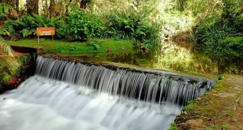 Uma riacho com uma queda d'água bem límpida cercada pela natureza no Horto Florestal de Campos do Jordão