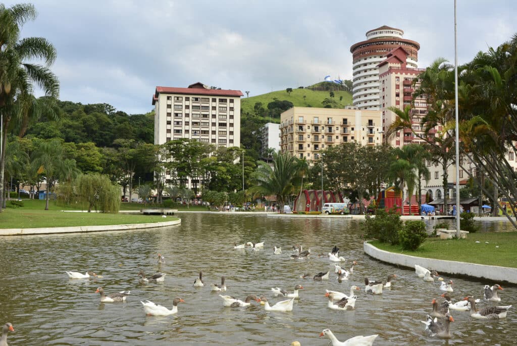 Lago do Praça Adhemar de Barros, Águas de Lindóia durante o dia com vários patos e ao fundo os prédios.