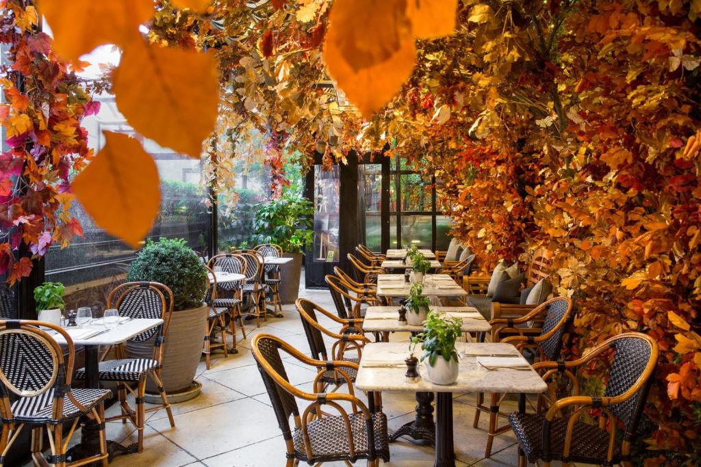 Área de refeições do The Bloomsbury Hotel cercado por flores no teto, as mesas são quadradas com cadeiras de madeira, há vasos de plantas e uma janela ampla com vista para o jardim