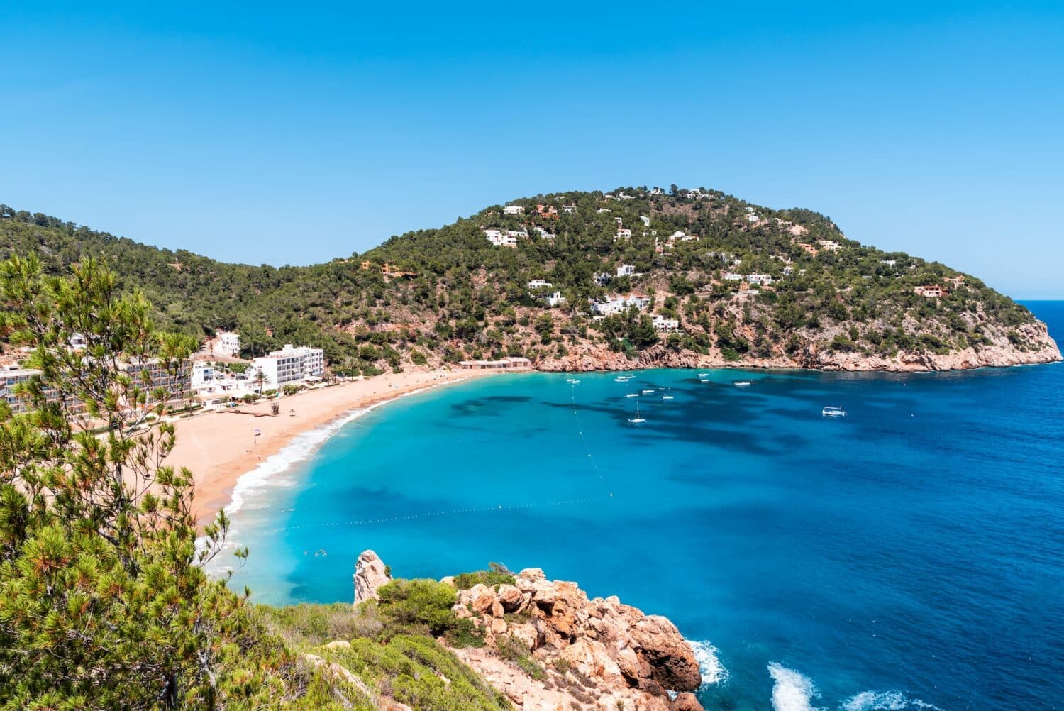 Uma baía de água azul clara com areia clara cercado por muito verde em Cala San Vicente, para rperesentar verão em Ibiza