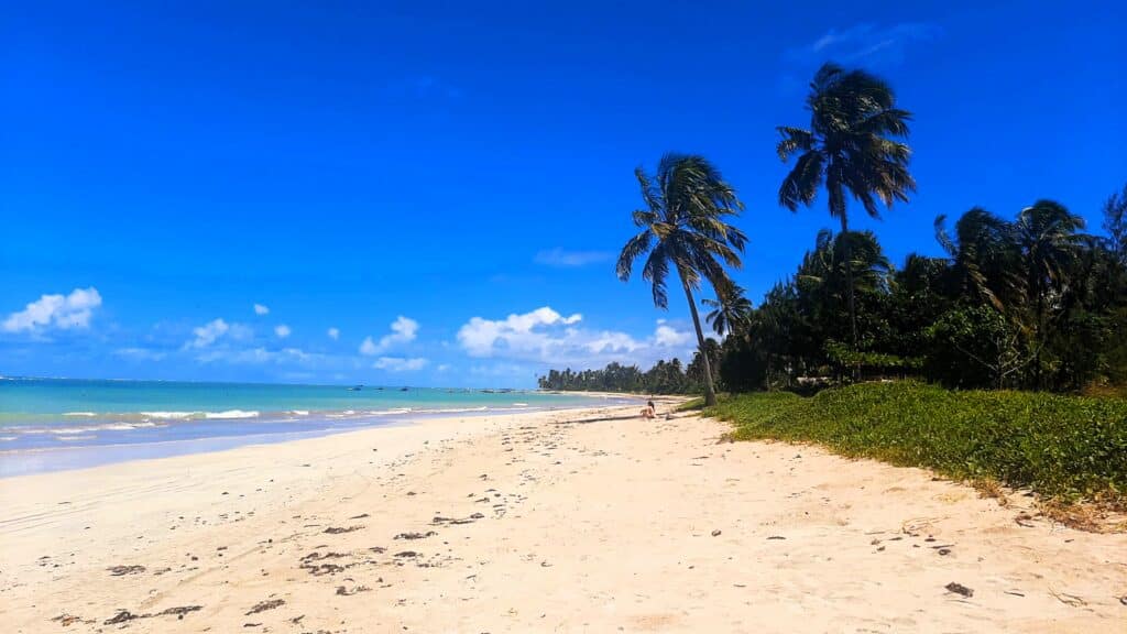 Praia em São Miguel dos Milagres, sendo o lado direito com coqueiros e gramado, ao meio uma faixa de areia vazia com uma mulher sentada à frente, e à esquerda tem um mar azulado com poucas nuvens